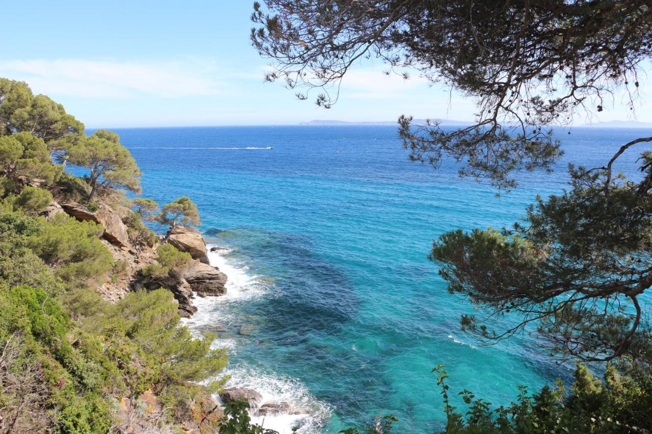 T2 Terrasse, Bormes Les Mimosas La Faviere, 5 Pers, 5 Mn A Pieds Des Plages Et Commerces Exteriér fotografie