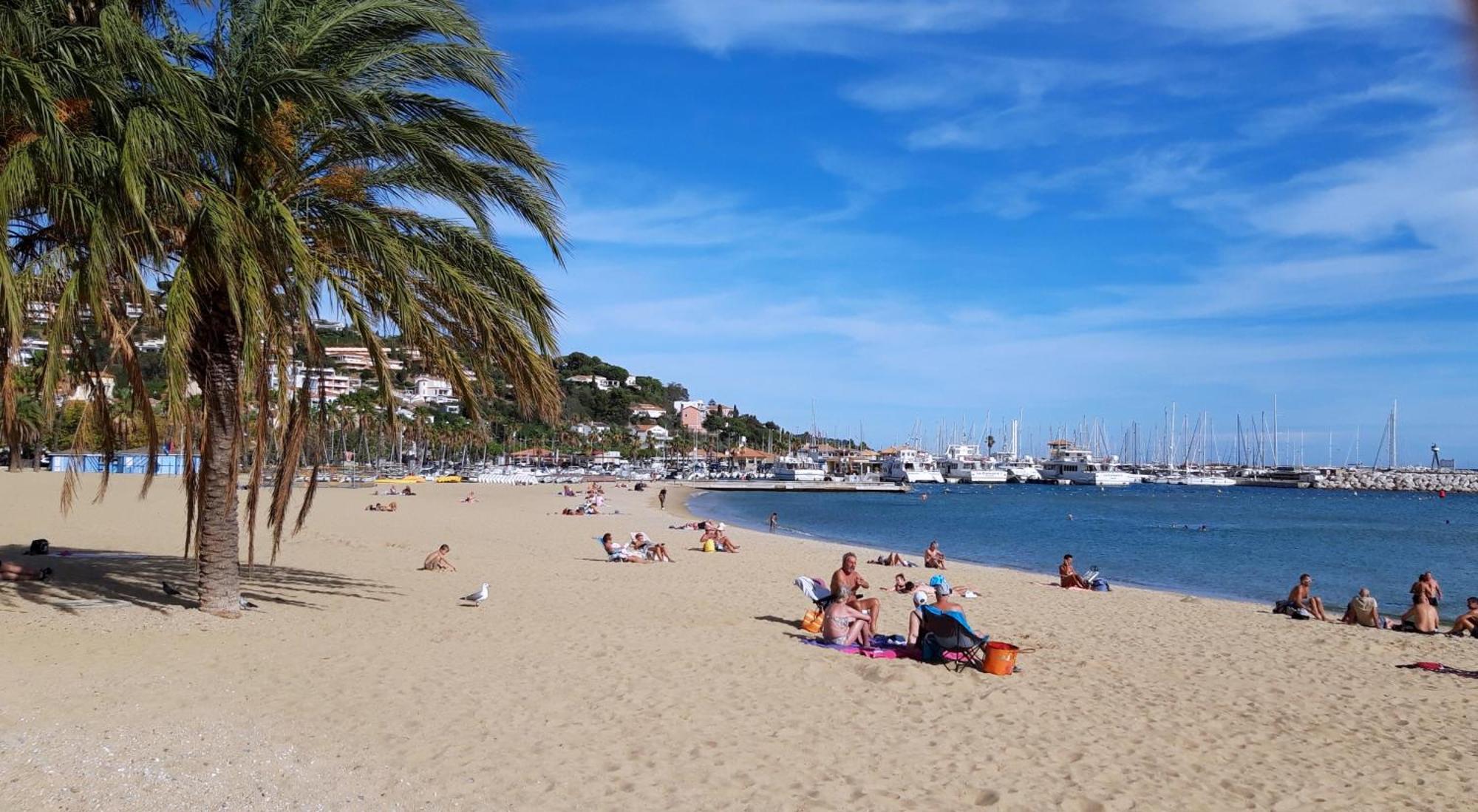 T2 Terrasse, Bormes Les Mimosas La Faviere, 5 Pers, 5 Mn A Pieds Des Plages Et Commerces Exteriér fotografie